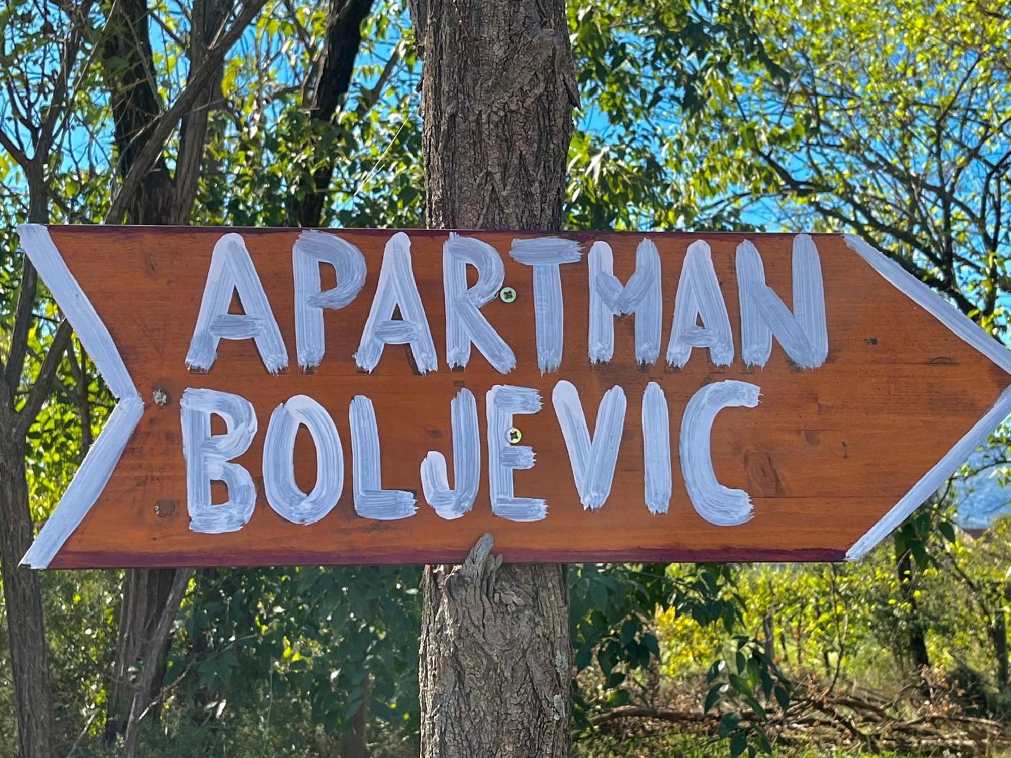 Apartman Boljevic Podgorica Buitenkant foto